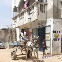 274705290 4810213392359196 2471599208020946782 n