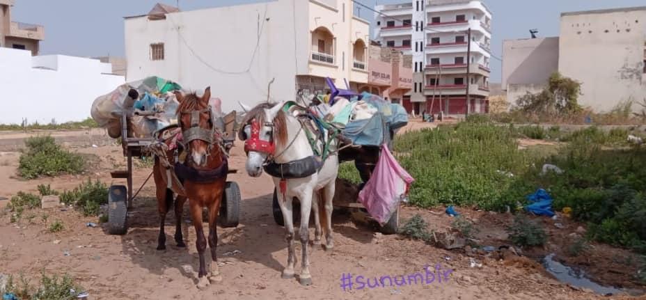 274717274 4801163979930804 3662776943773385863 n