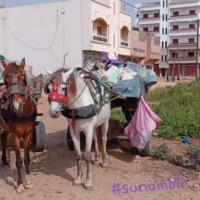 274717274 4801163979930804 3662776943773385863 n