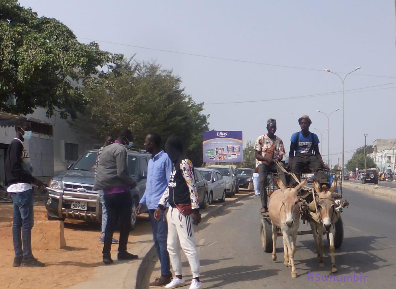 274735514 4807393149307887 7968451669742380246 n