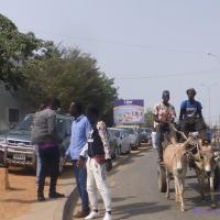 274735514 4807393149307887 7968451669742380246 n