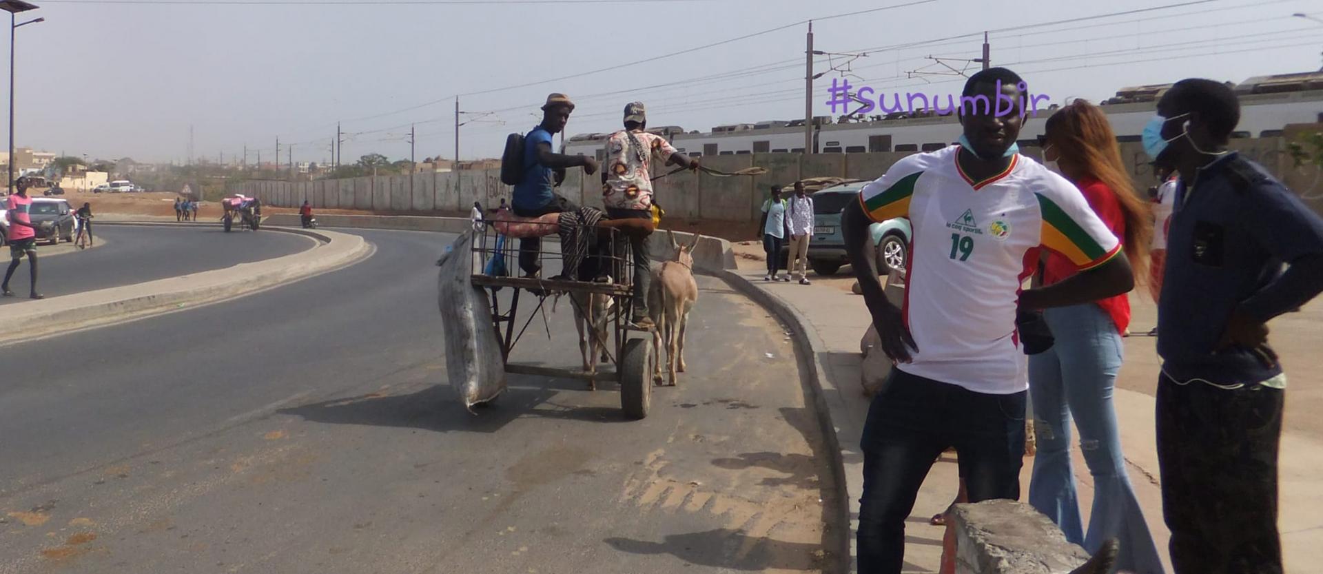 274737154 4807393392641196 6344894975217549833 n