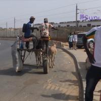 274737154 4807393392641196 6344894975217549833 n