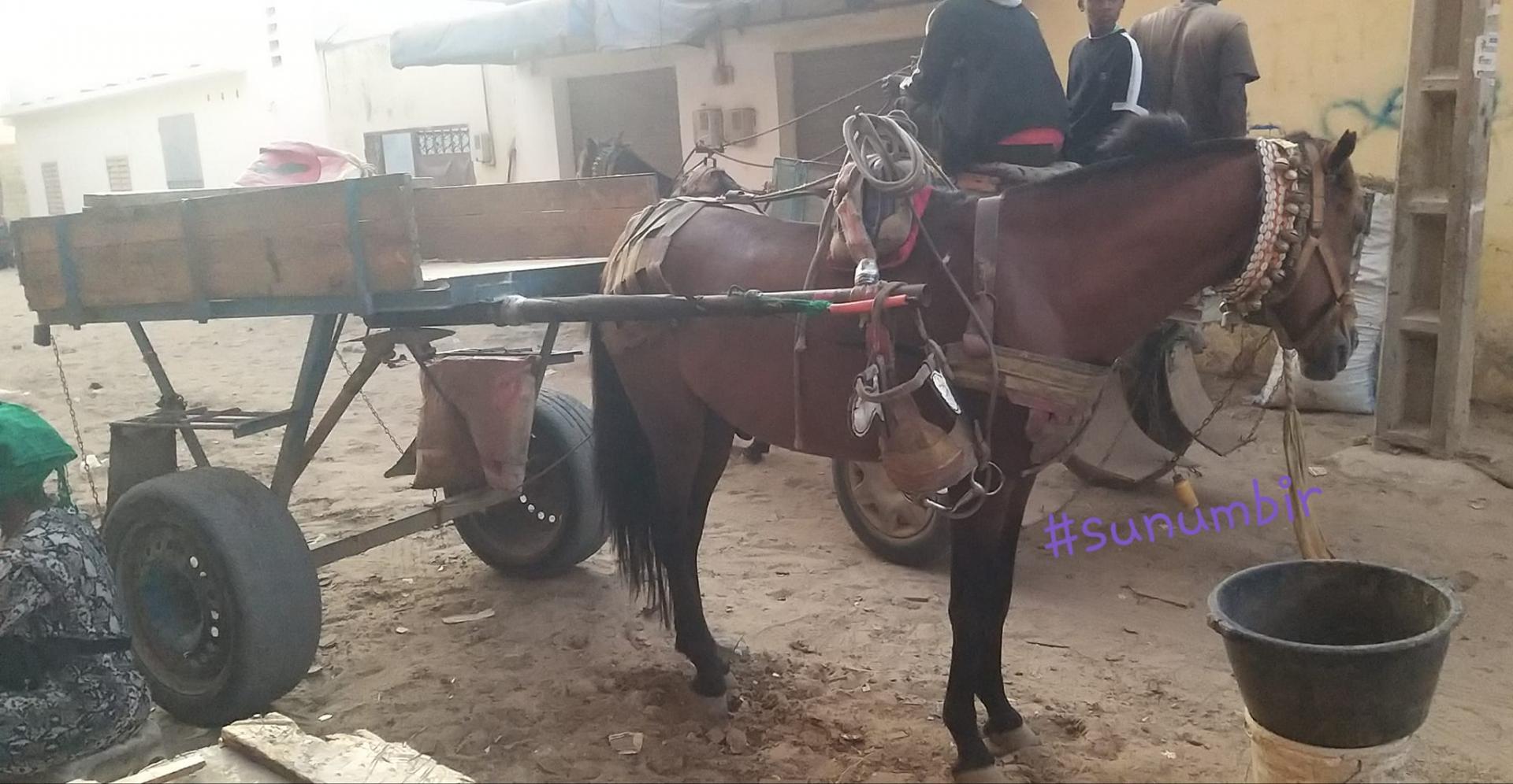 274741460 4811871948860007 8422738847399231948 n 1