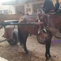 274741460 4811871948860007 8422738847399231948 n 1