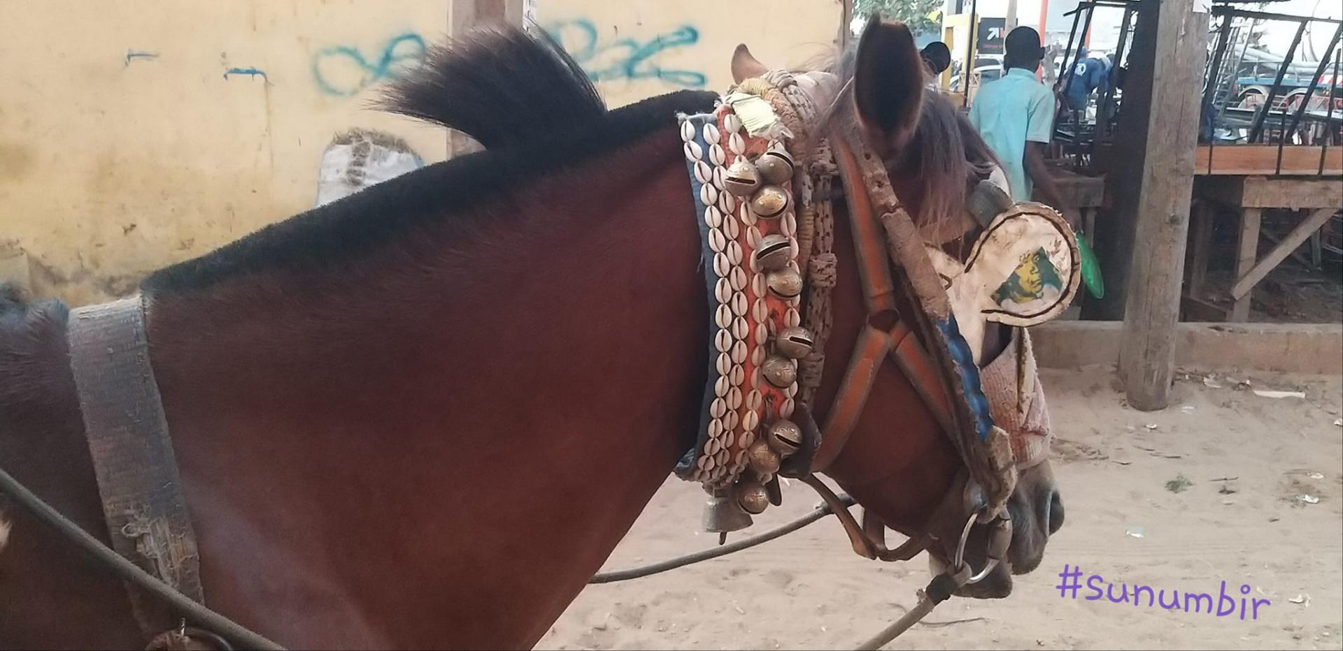 274787833 4811872095526659 186711578433680147 n 1