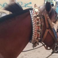 274787833 4811872095526659 186711578433680147 n