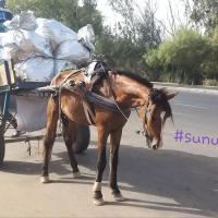 274807087 4806329416080927 7989073913165327296 n 1