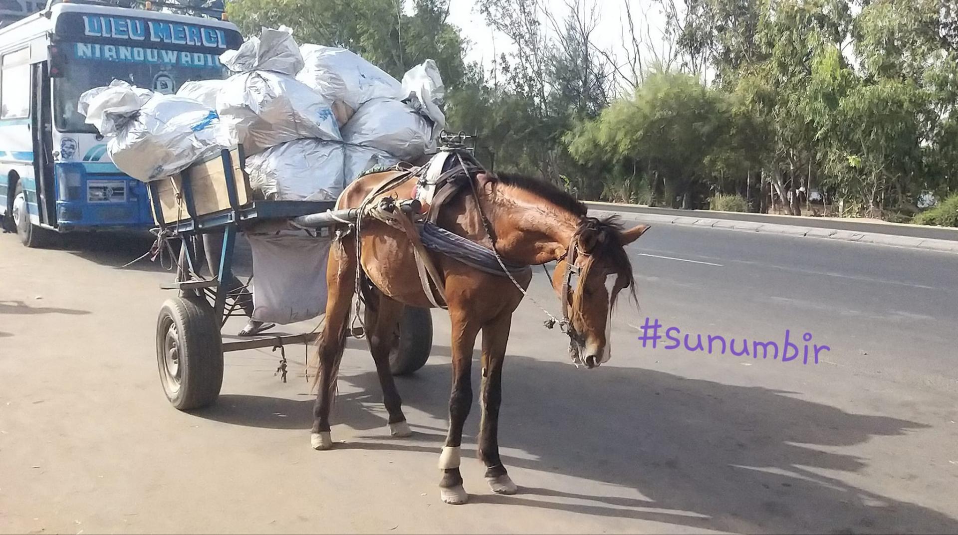 274807087 4806329416080927 7989073913165327296 n