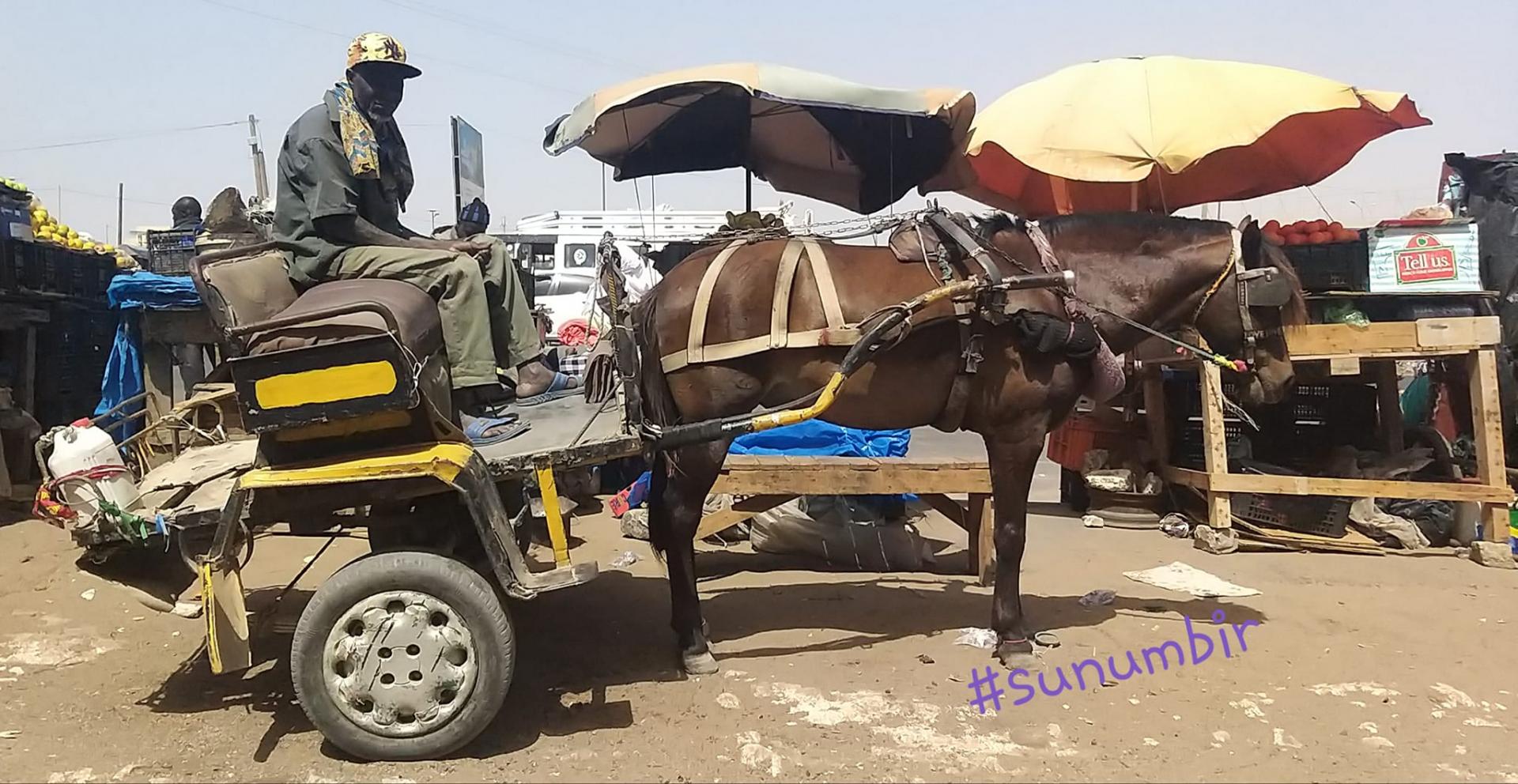 274814129 4811732818873920 4465153065486873515 n 1