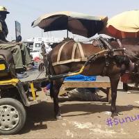 274814129 4811732818873920 4465153065486873515 n