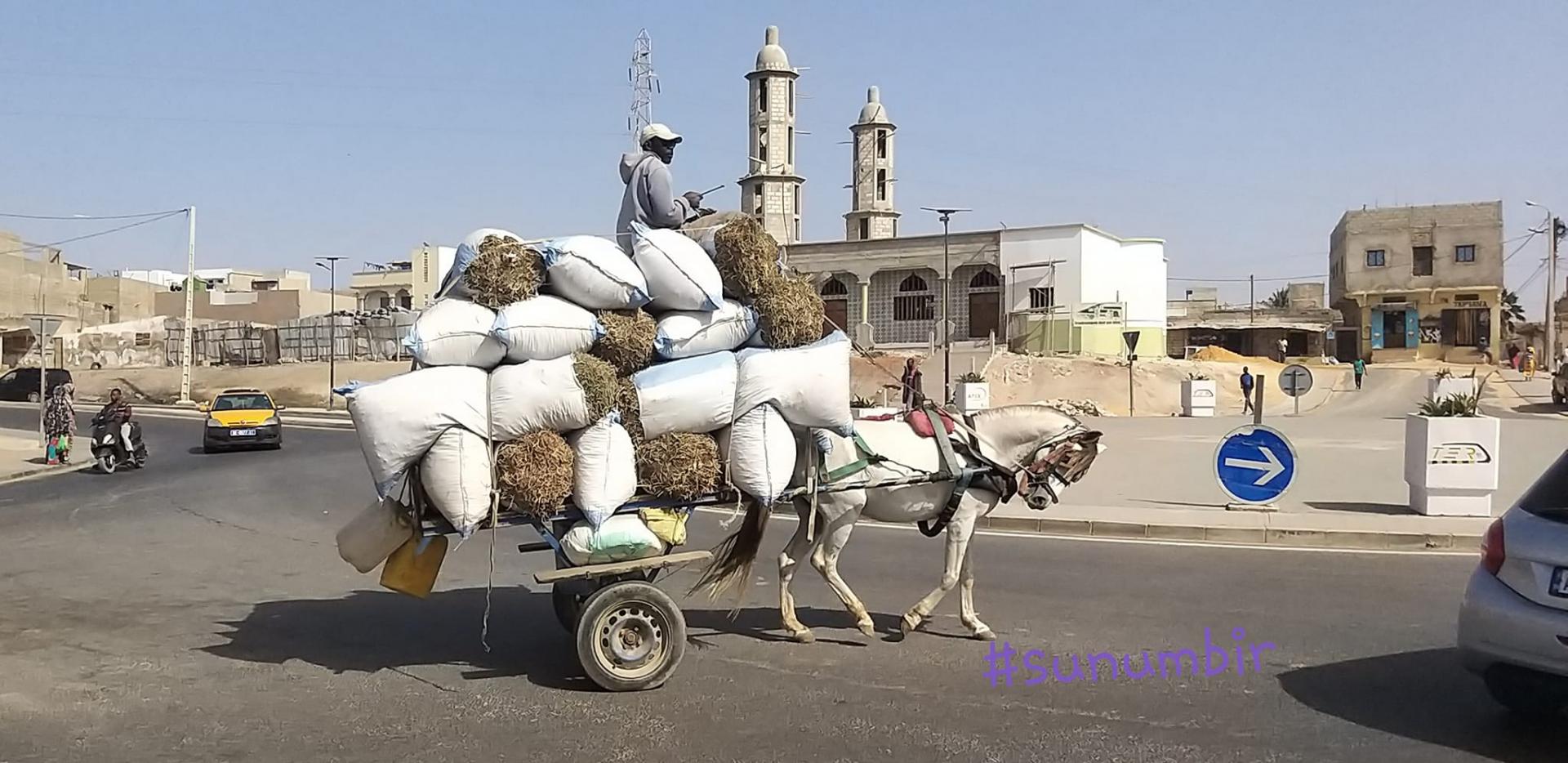 274819542 4814666341913901 707508080454930771 n 1