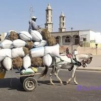 274819542 4814666341913901 707508080454930771 n 1