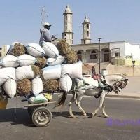 274819542 4814666341913901 707508080454930771 n