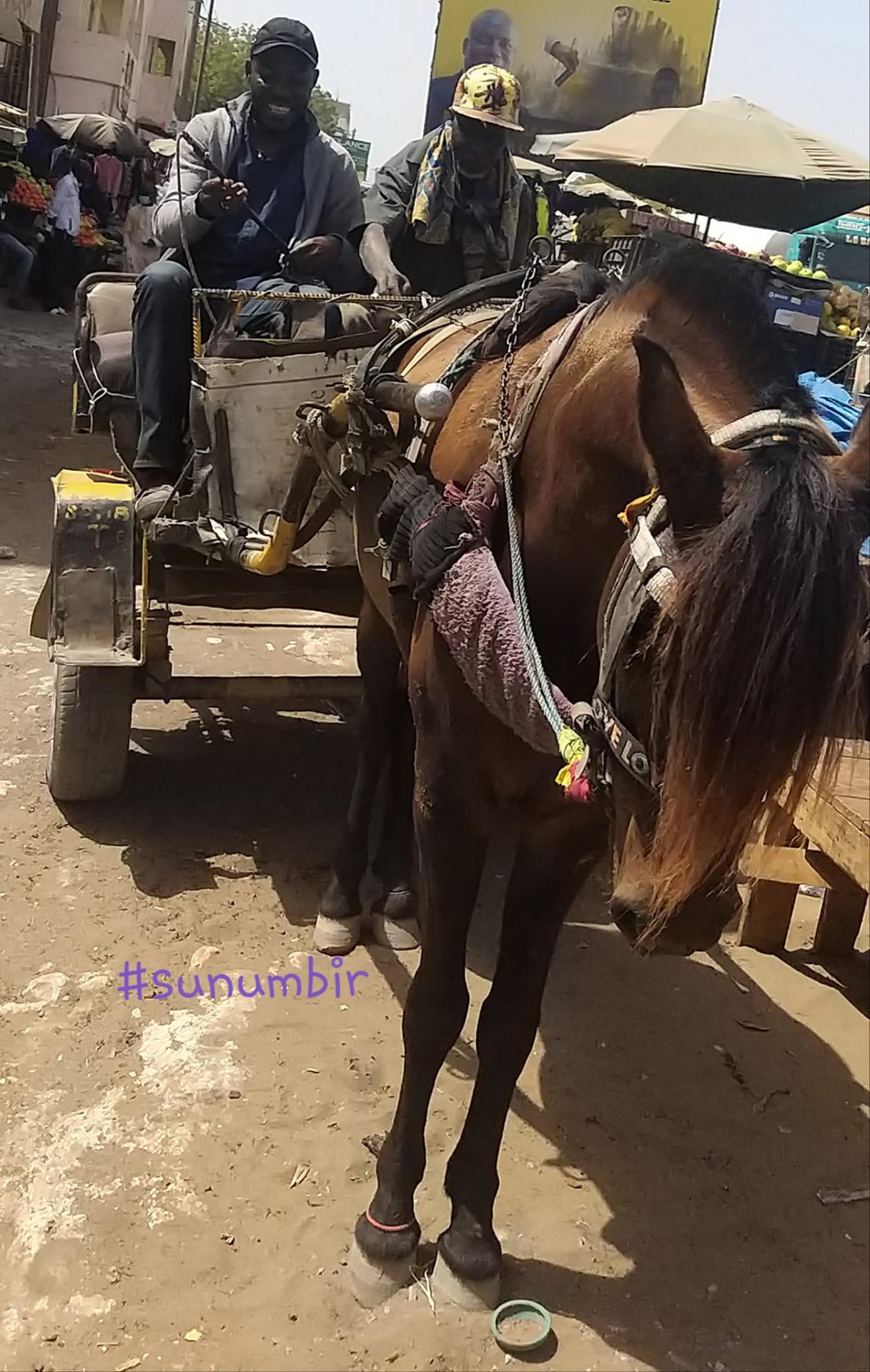 274860527 4811732962207239 4625208869103508741 n 1