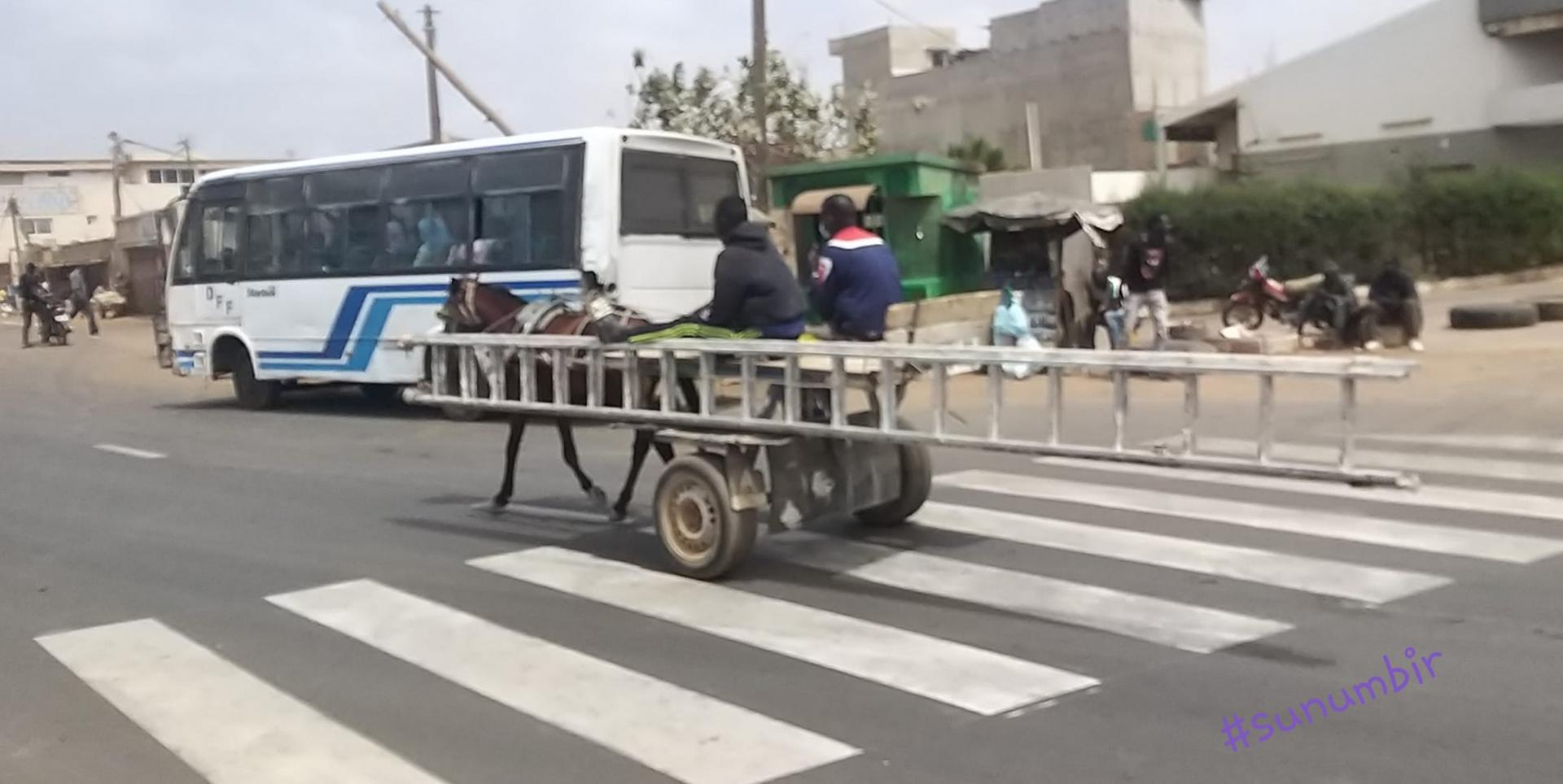 274869413 4813290335384835 7624276347635303155 n 1