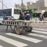 274869413 4813290335384835 7624276347635303155 n 1