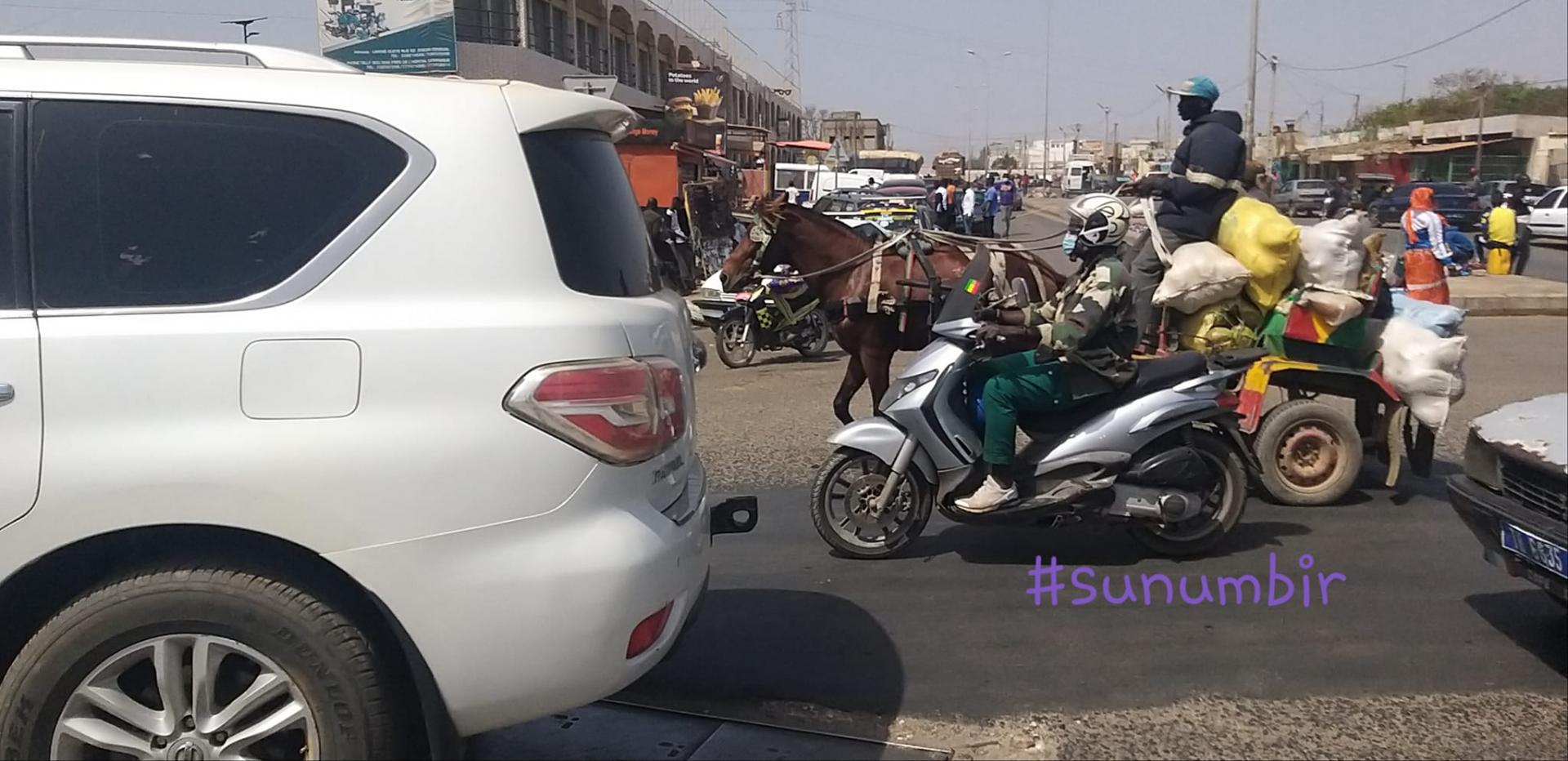 274875746 4815854821795053 6531128490037450532 n