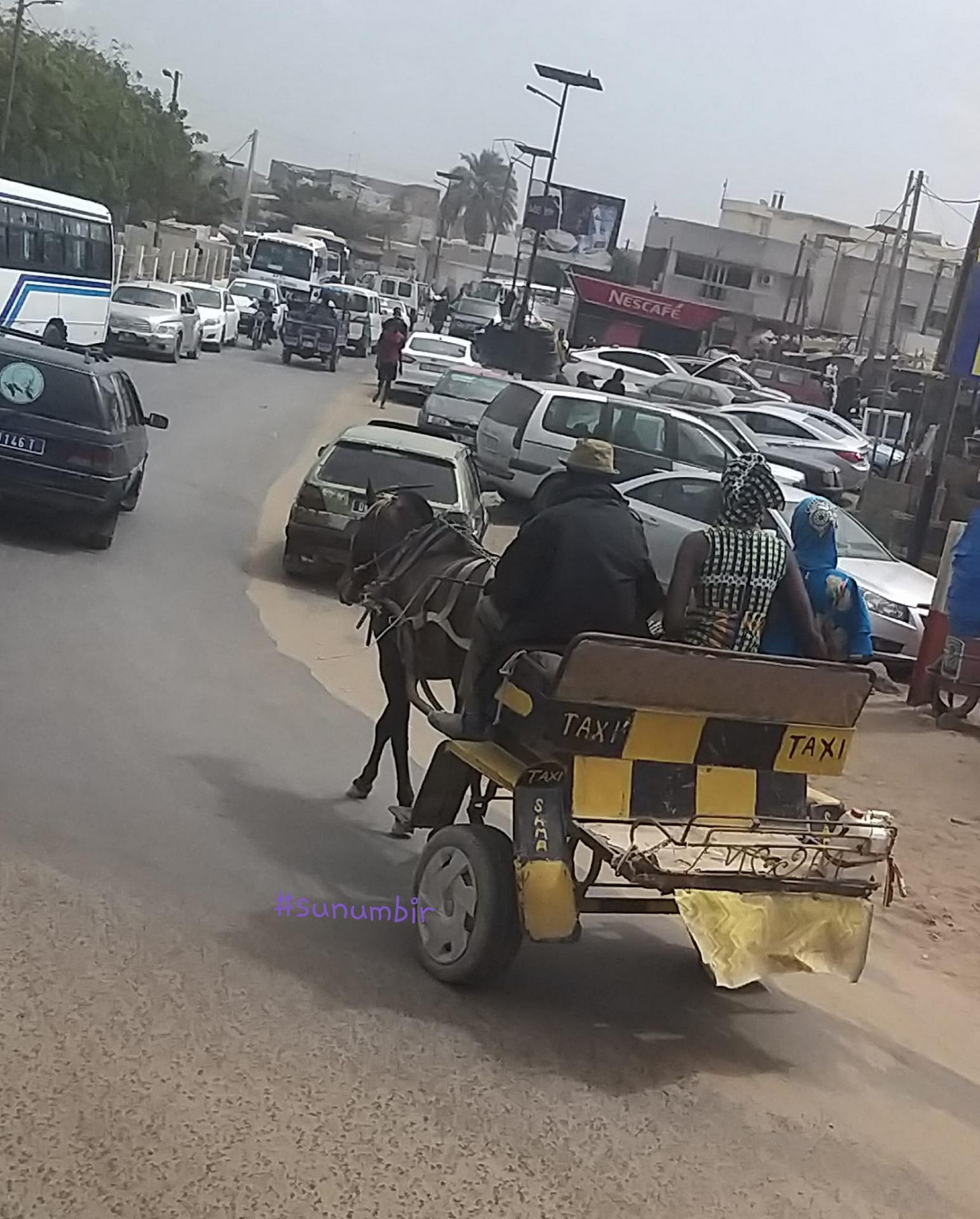 274888028 4811733212207214 4598642837892018142 n 1