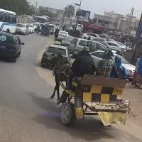 274888028 4811733212207214 4598642837892018142 n