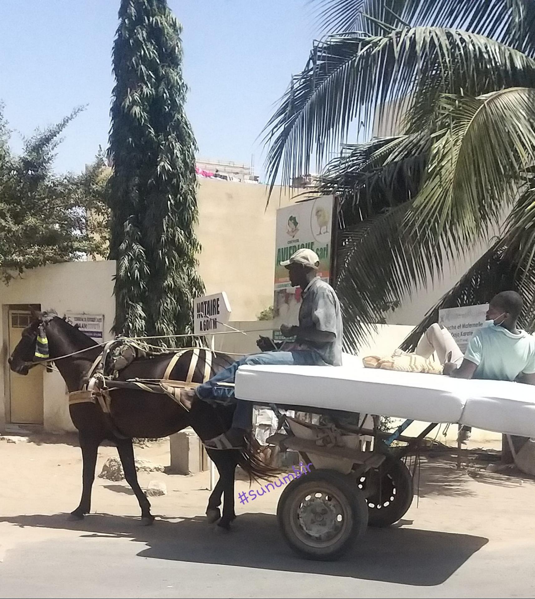 274924834 4817222571658278 7604270586585603368 n