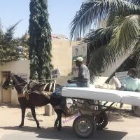 274924834 4817222571658278 7604270586585603368 n