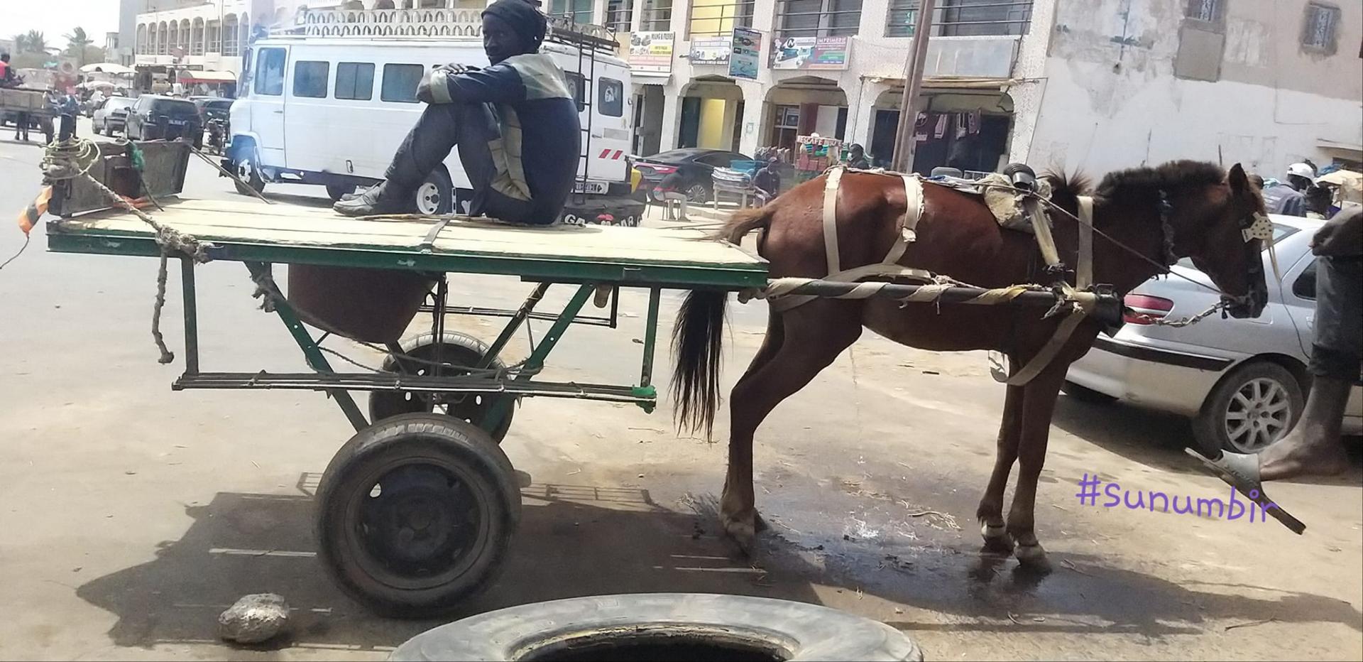 274942267 4818503171530218 2078910920410417349 n