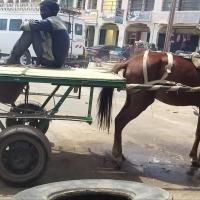 274942267 4818503171530218 2078910920410417349 n