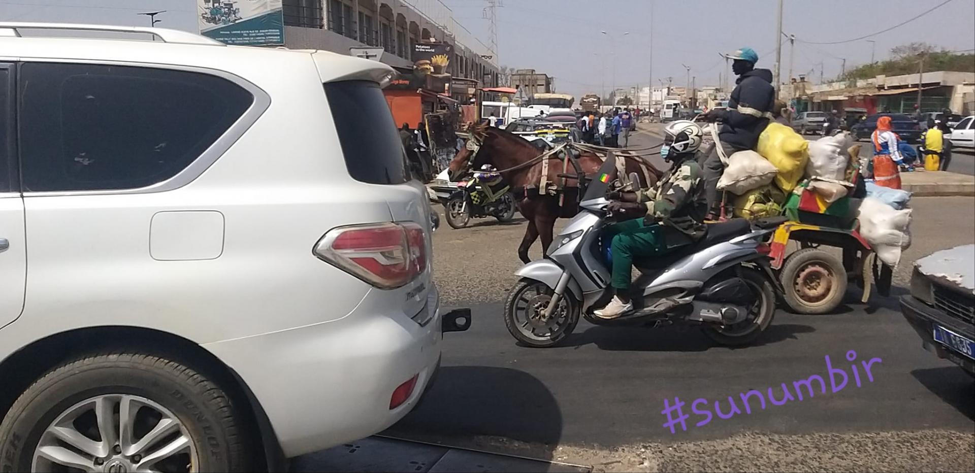 274982655 4815854988461703 4918252900883957248 n