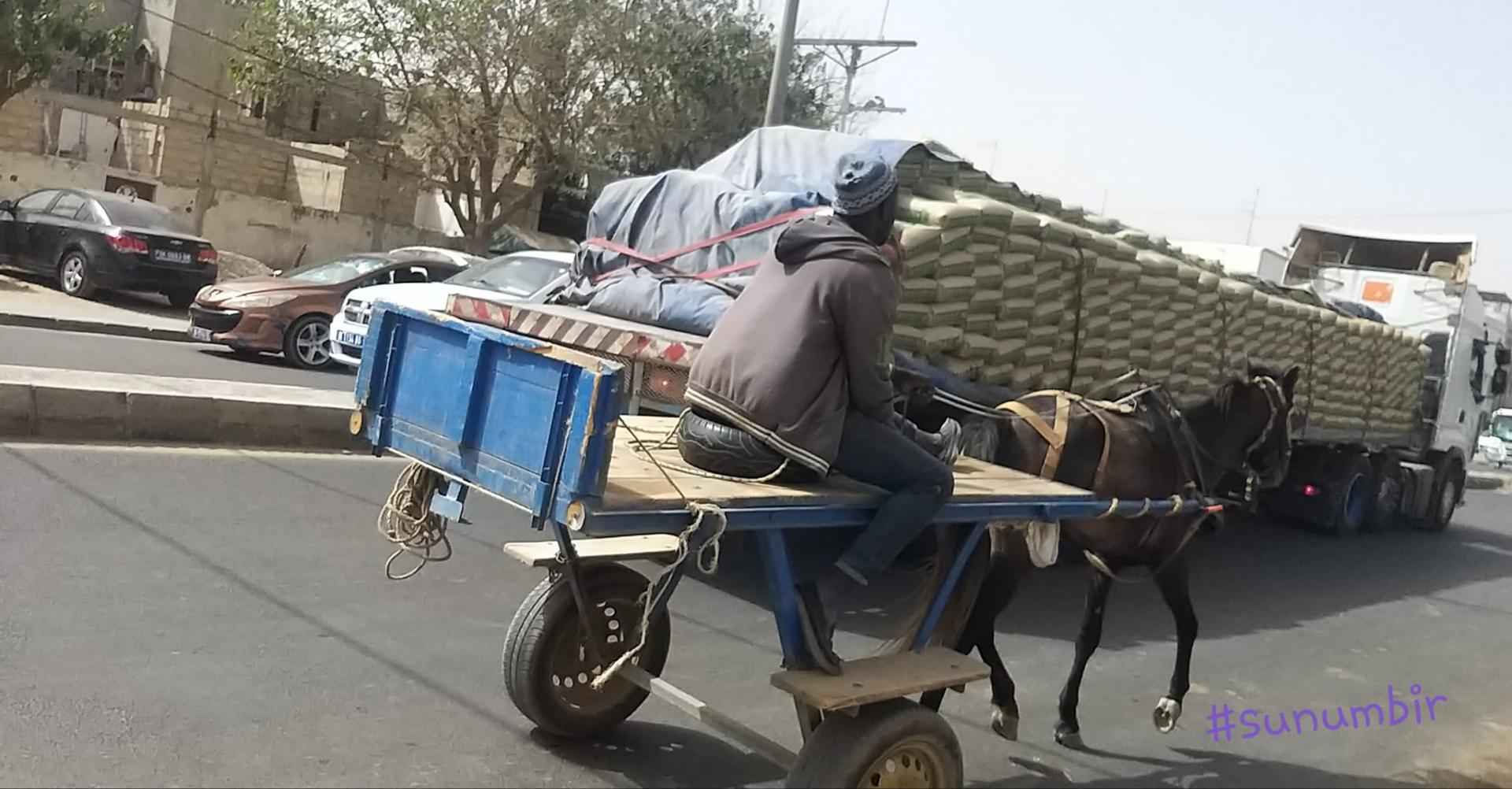 275035937 4819985858048616 9064221620004705286 n