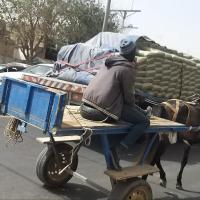 275035937 4819985858048616 9064221620004705286 n