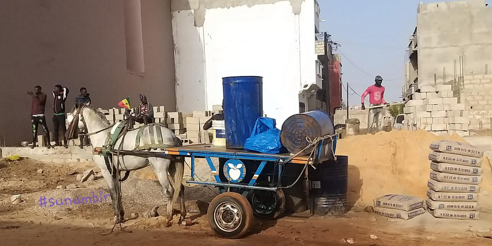 275128309 4821501097897092 7069449340610072724 n