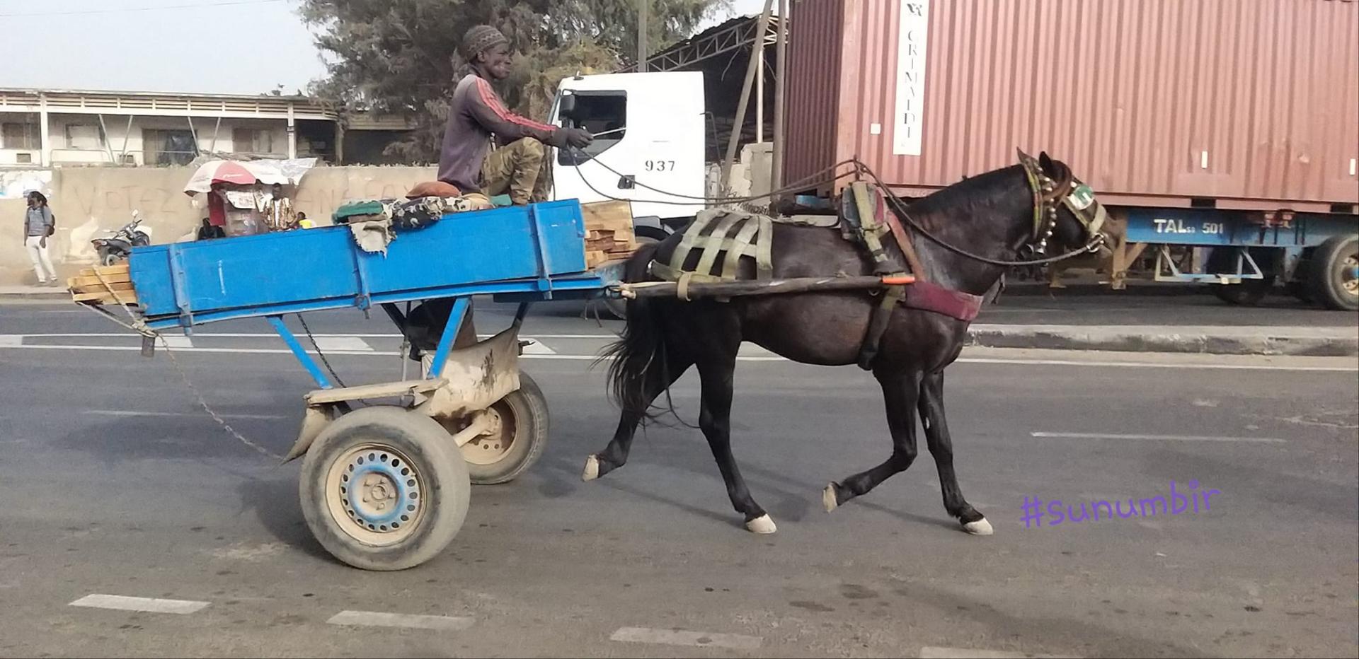 275133172 4825565550823980 4357644868677272451 n