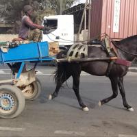 275133172 4825565550823980 4357644868677272451 n