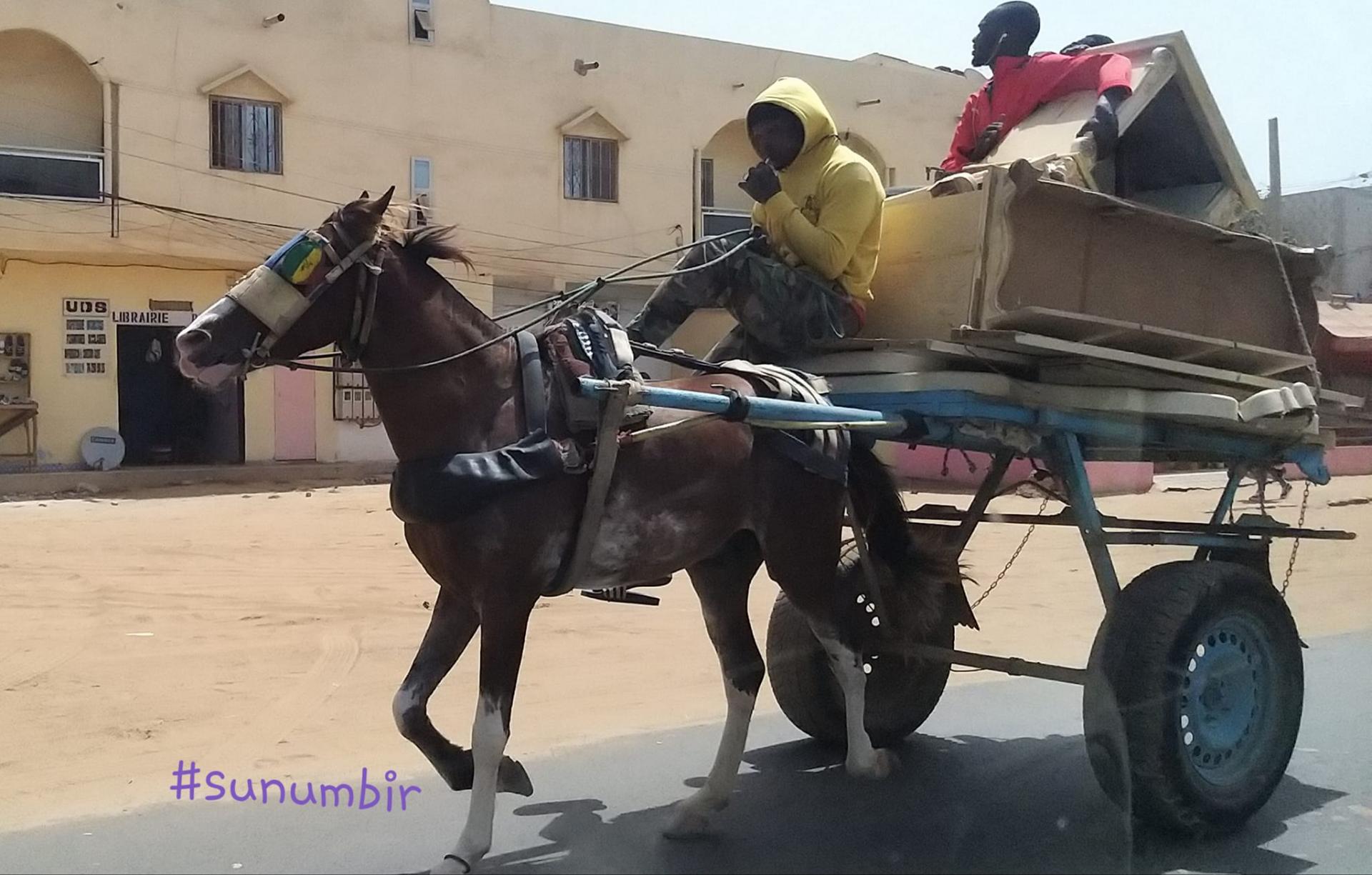 275145246 4822735494440319 6827441811712589876 n