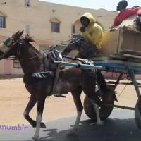 275145246 4822735494440319 6827441811712589876 n