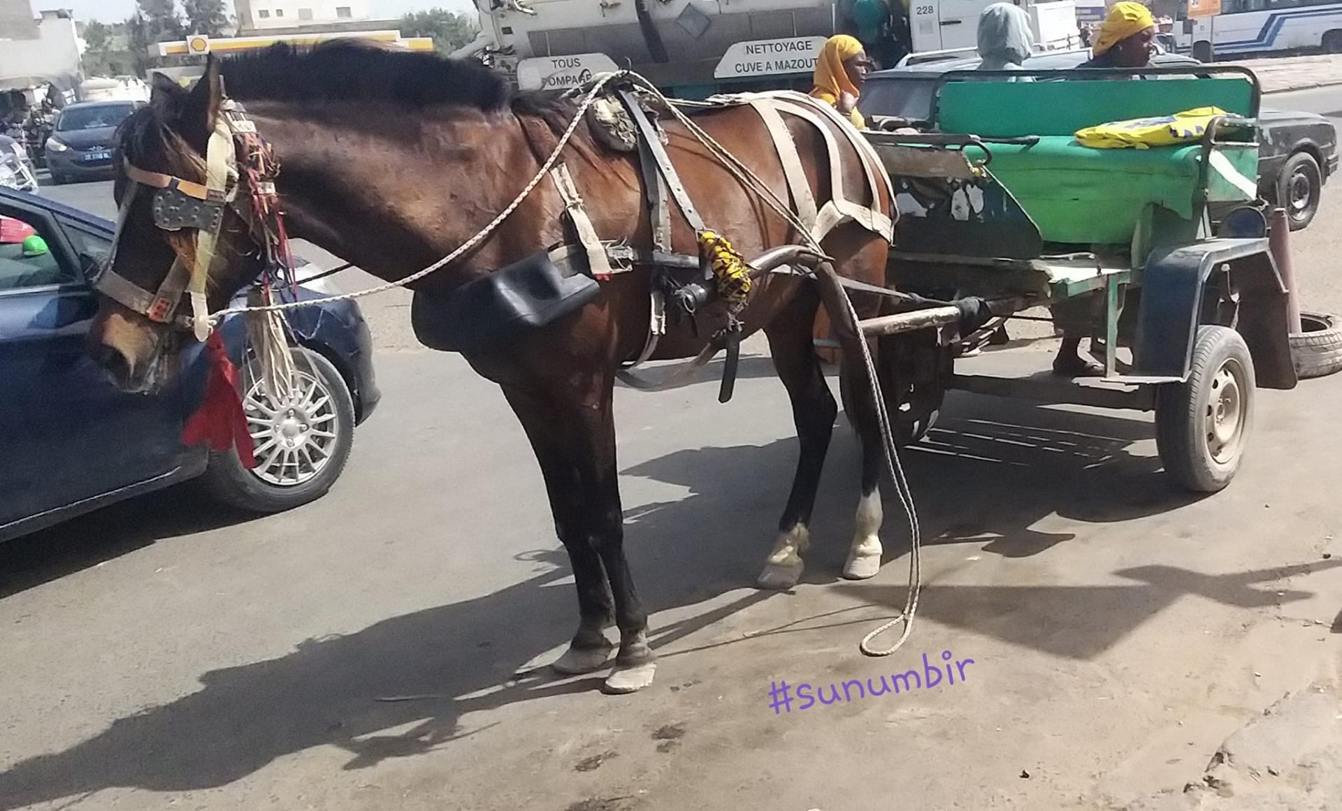 275183175 4824211460959389 1976535280063645885 n