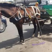 275183175 4824211460959389 1976535280063645885 n