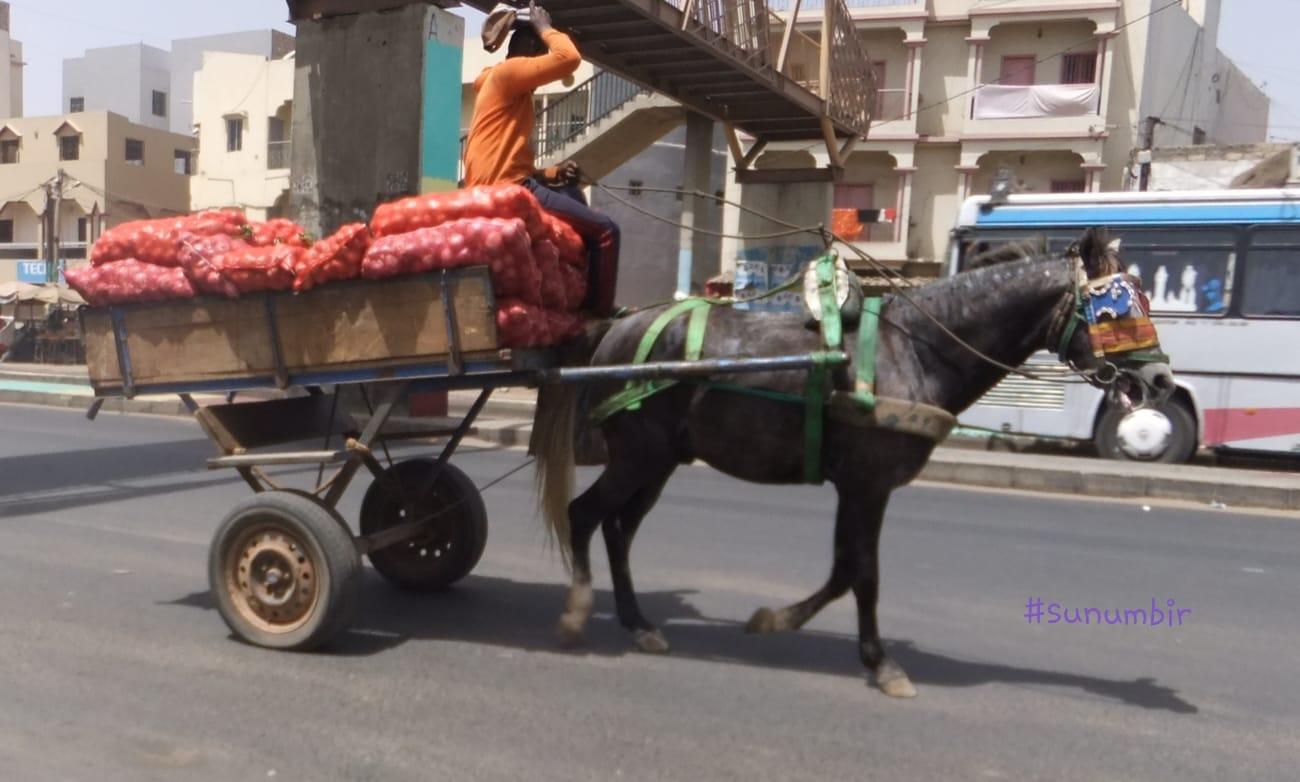 275257222 4828677283846140 3467169602536658727 n