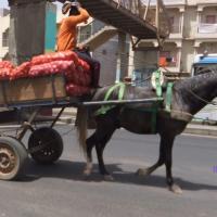 275257222 4828677283846140 3467169602536658727 n