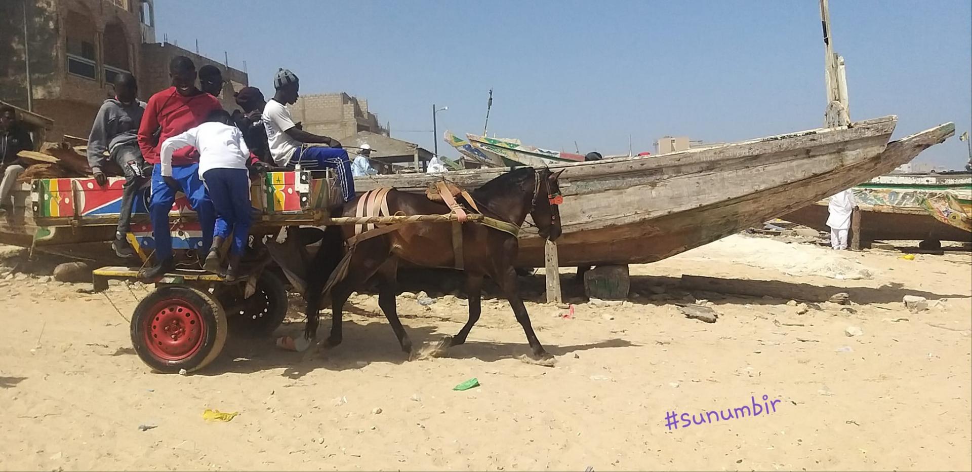 275263315 4832832280097307 6447591461581913600 n