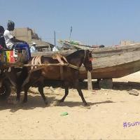 275263315 4832832280097307 6447591461581913600 n