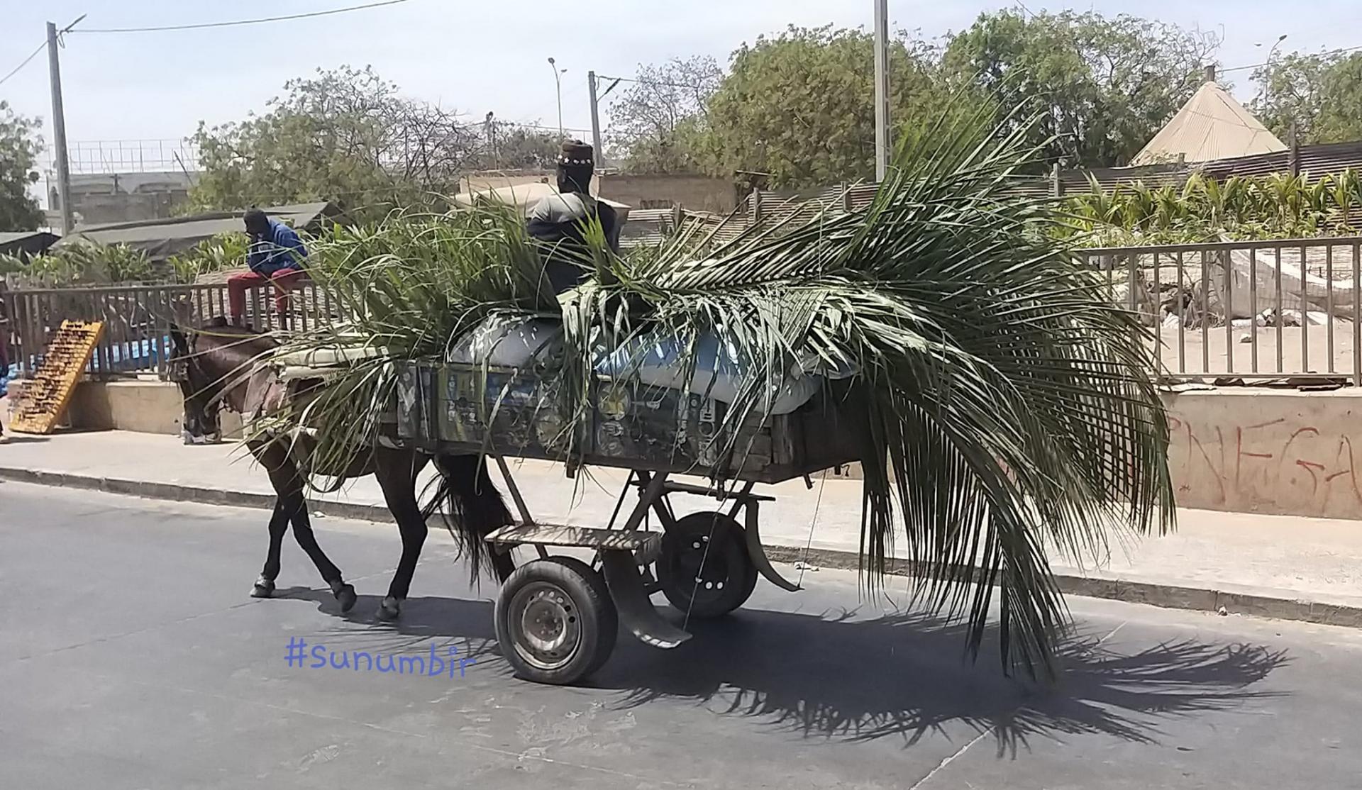 275277655 4835333009847234 5152750294423917924 n