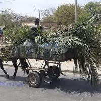 275277655 4835333009847234 5152750294423917924 n