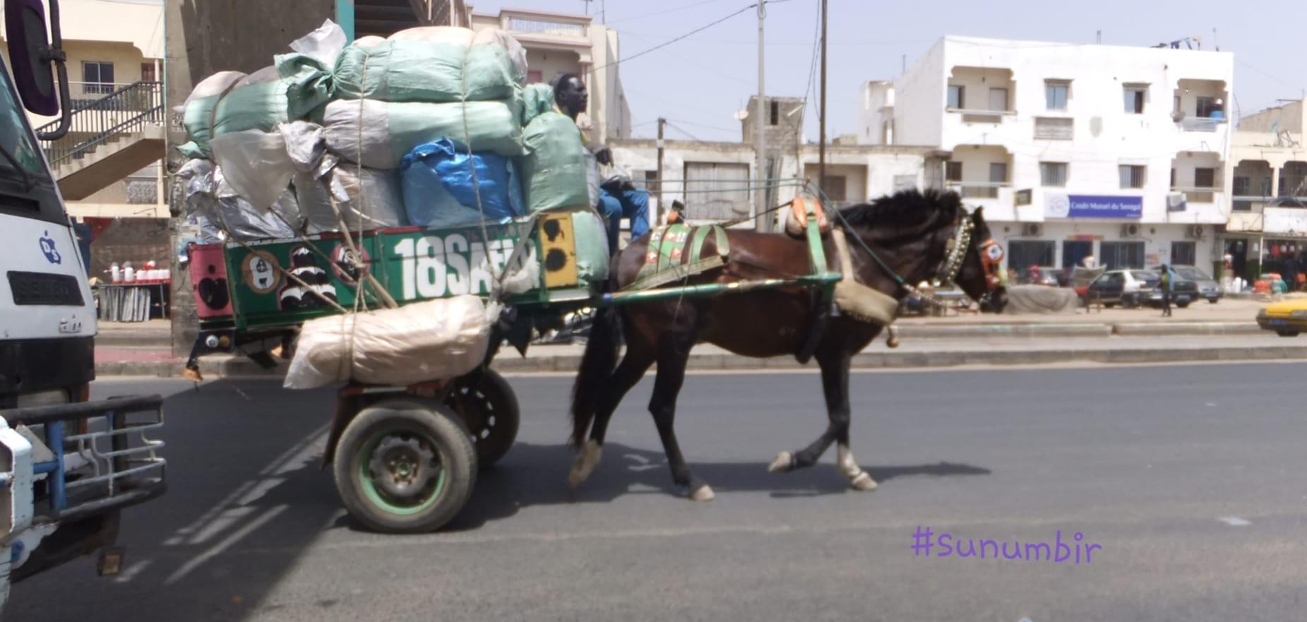 275284615 4829875400392995 6363091136588092699 n