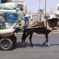 275284615 4829875400392995 6363091136588092699 n