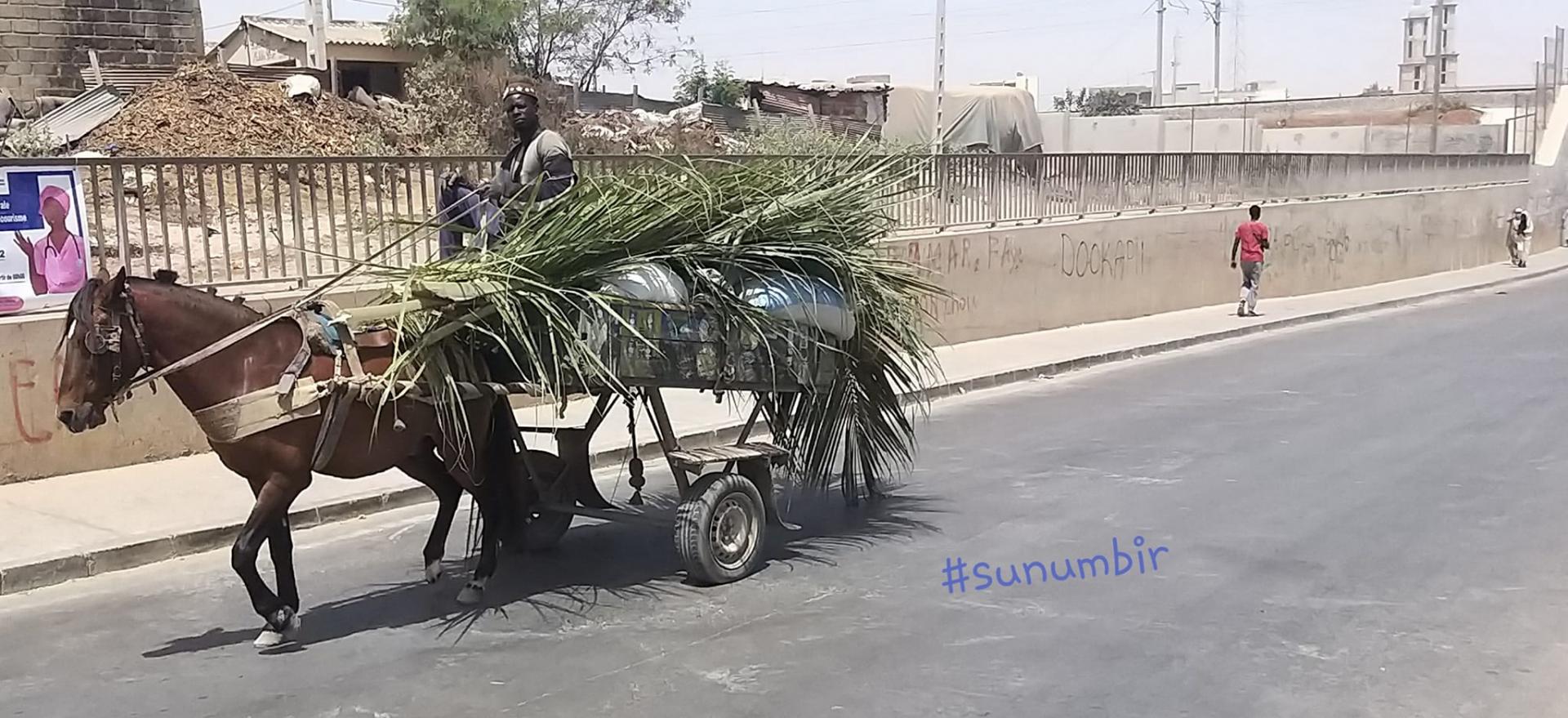 275290200 4835333196513882 2216862028584929866 n