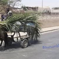 275290200 4835333196513882 2216862028584929866 n