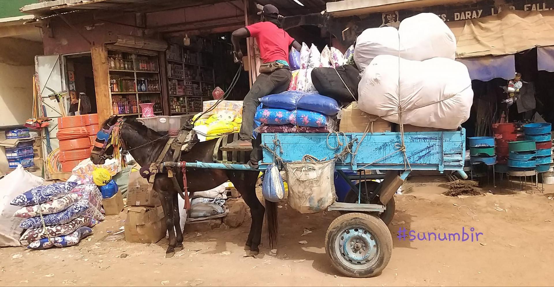 275292965 4827062877340914 6259978849398016037 n