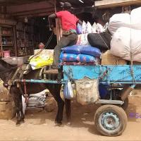 275292965 4827062877340914 6259978849398016037 n